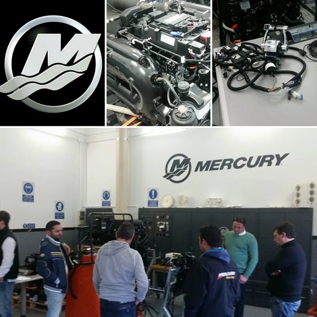 Mercury-Training-Week-03.jpg